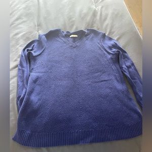 Blue sweater